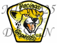 /album/hokejove-loga/design-pacinos-gepards-logo-png/